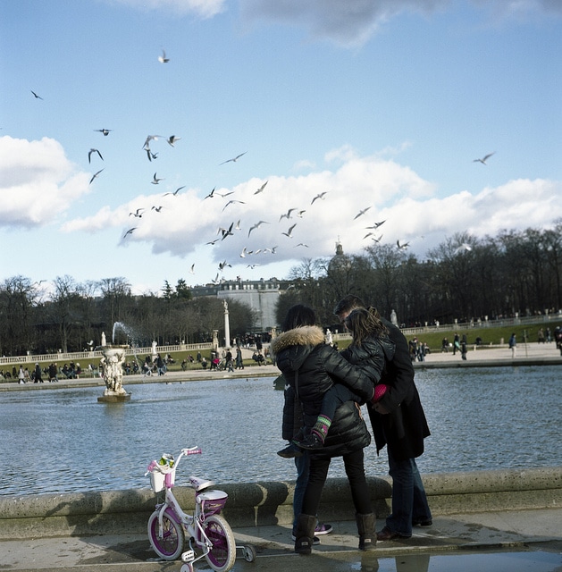 photo couleur oiseaux parc