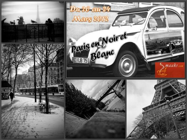 Paris en noir et blanc, "Réverbères, le gardien du parc" – Image 4