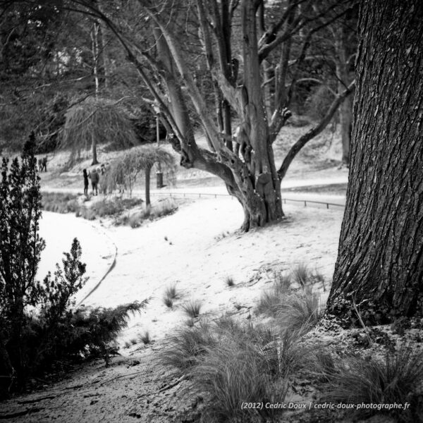 L'hiver dans les parcs à Paris