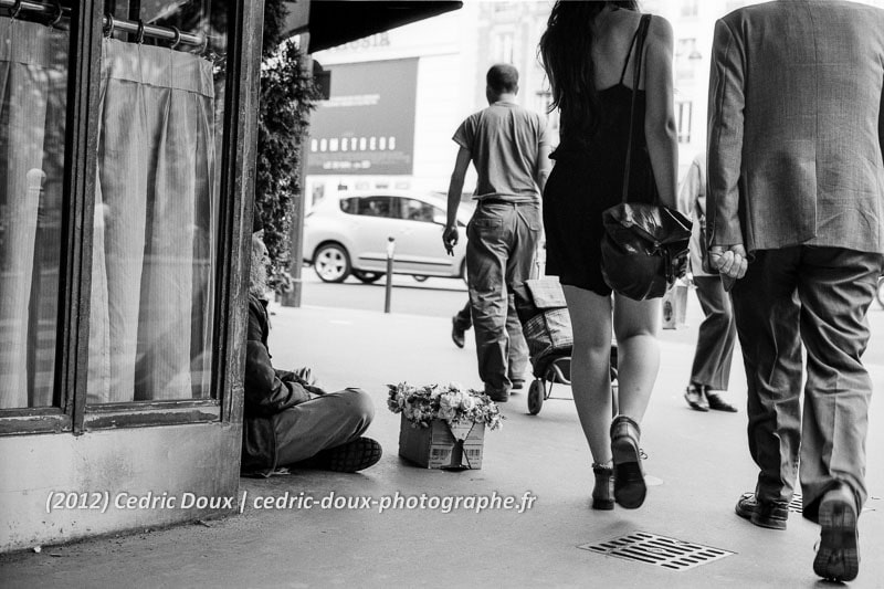 Série photo "Nature dans le 14eme"