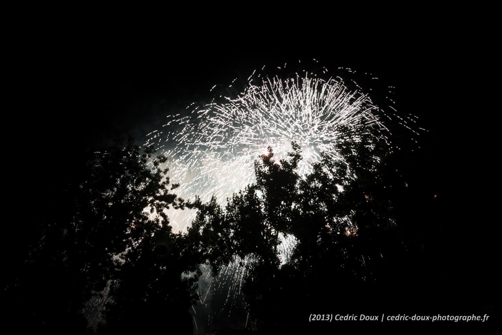 Feu d'artifice du 14 juillet 2013 - Paris
