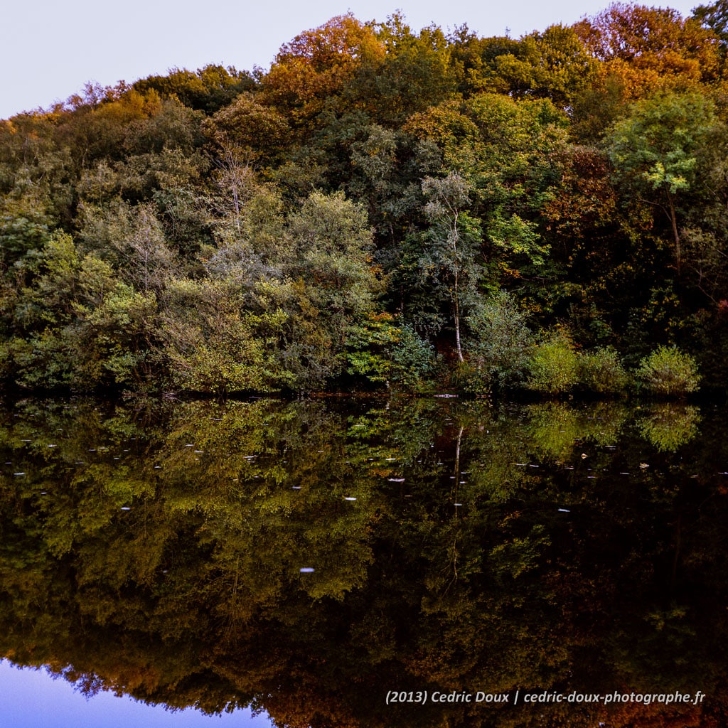 Reflets d'automne sur l'étang de la forêt de Meudon