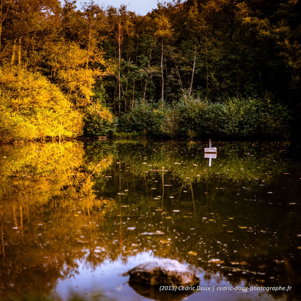 Reflets d'automne sur l'étang de la forêt de Meudon