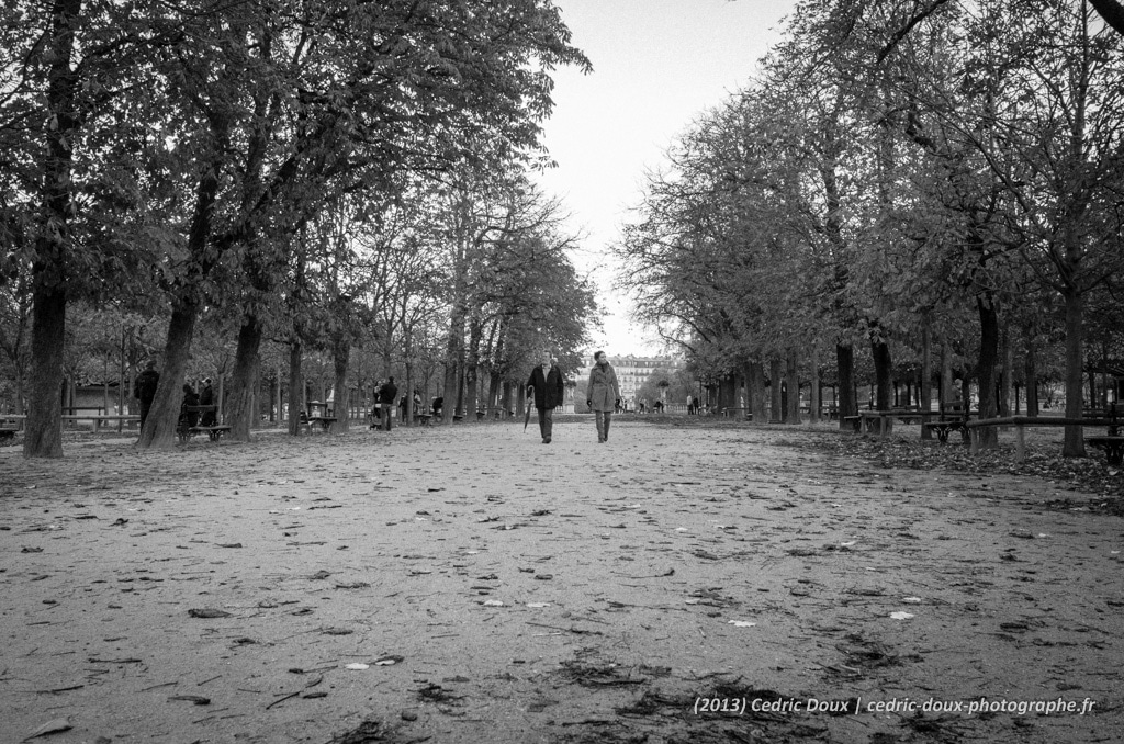 Se promener dans le jardin du Luxembourg