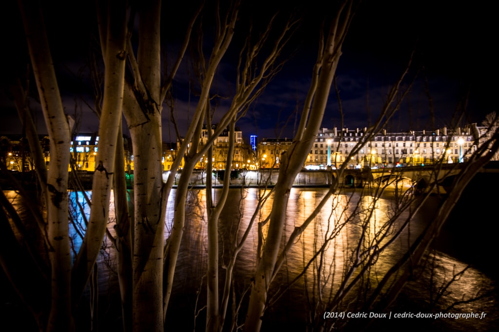 Reflets sur la Seine. Les lumières de la Ville