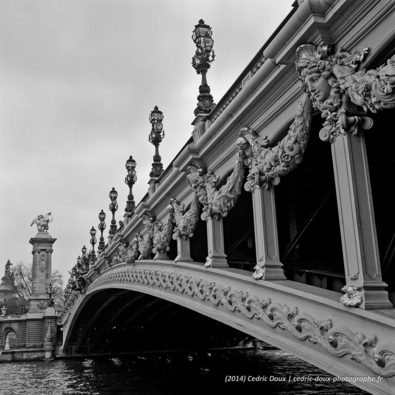 Paris, le Pont Alexandre III, photo d'Art