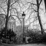 Réverbères : le gardien du parc