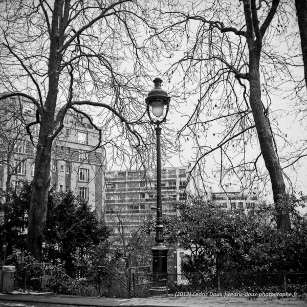 Réverbères : le gardien du parc