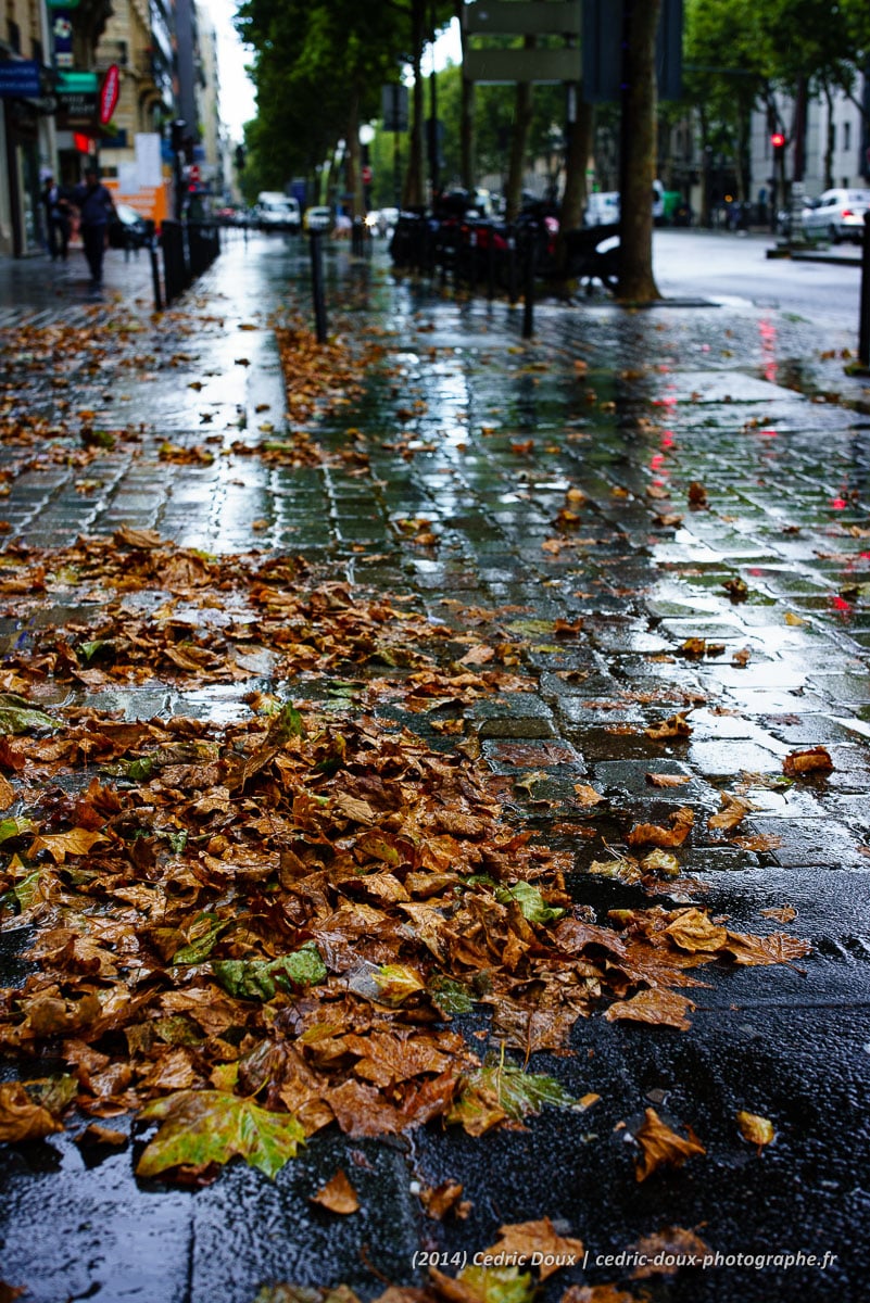 Un été à Paris (août 2014)