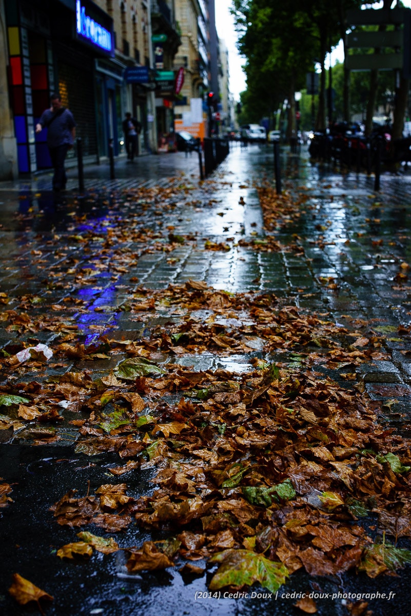 Un été à Paris (août 2014)