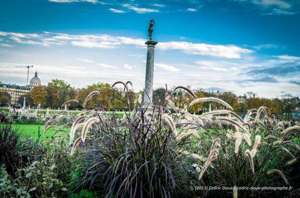 Les fleurs du jardin du Luxembourg Vénus au jardin du Luxembourg, Paris