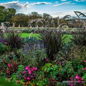 Photographie d'Art en couleur : Les jardins parisiens. Le jardin du Luxembourg