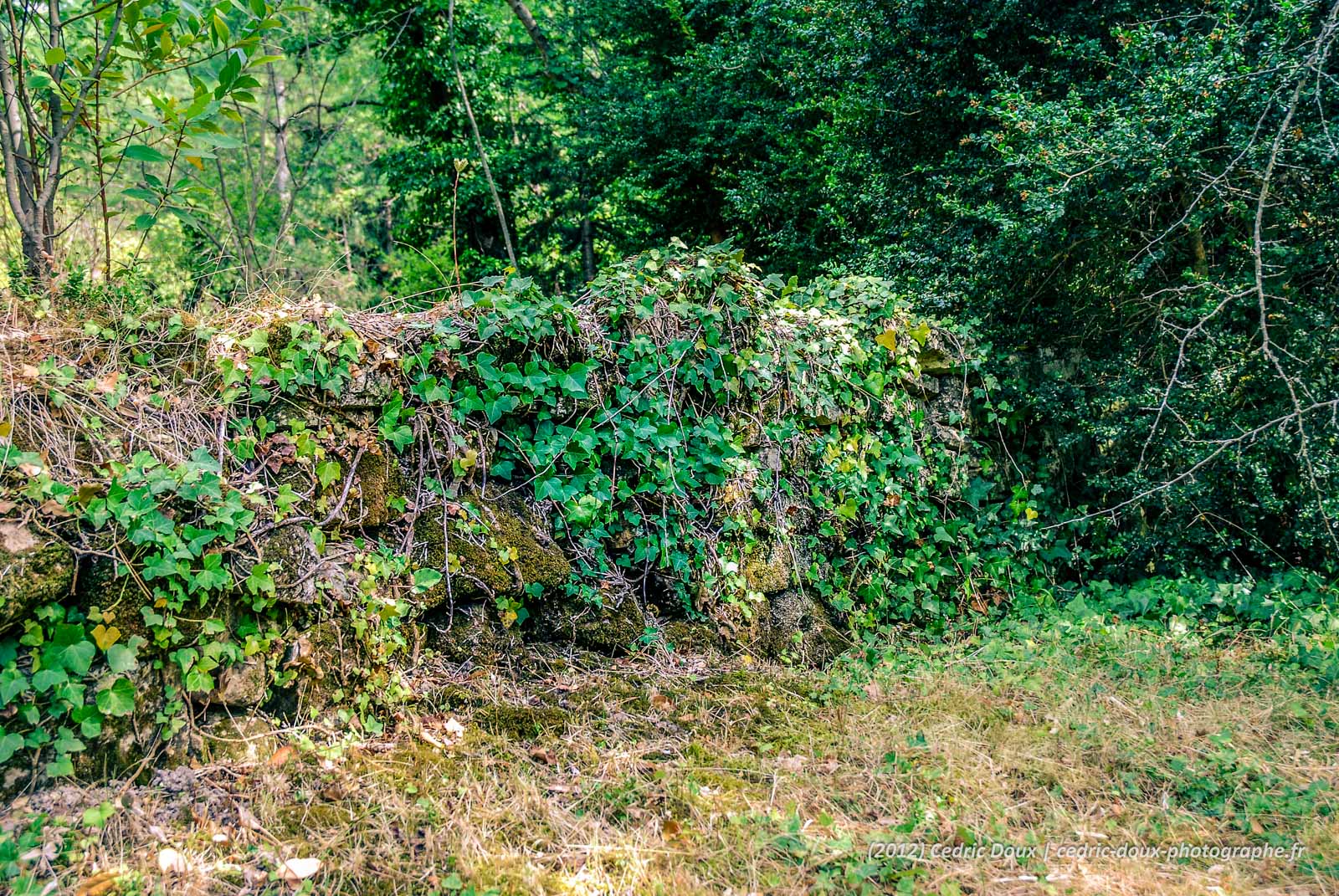 Lodéve, paysages de campagne française