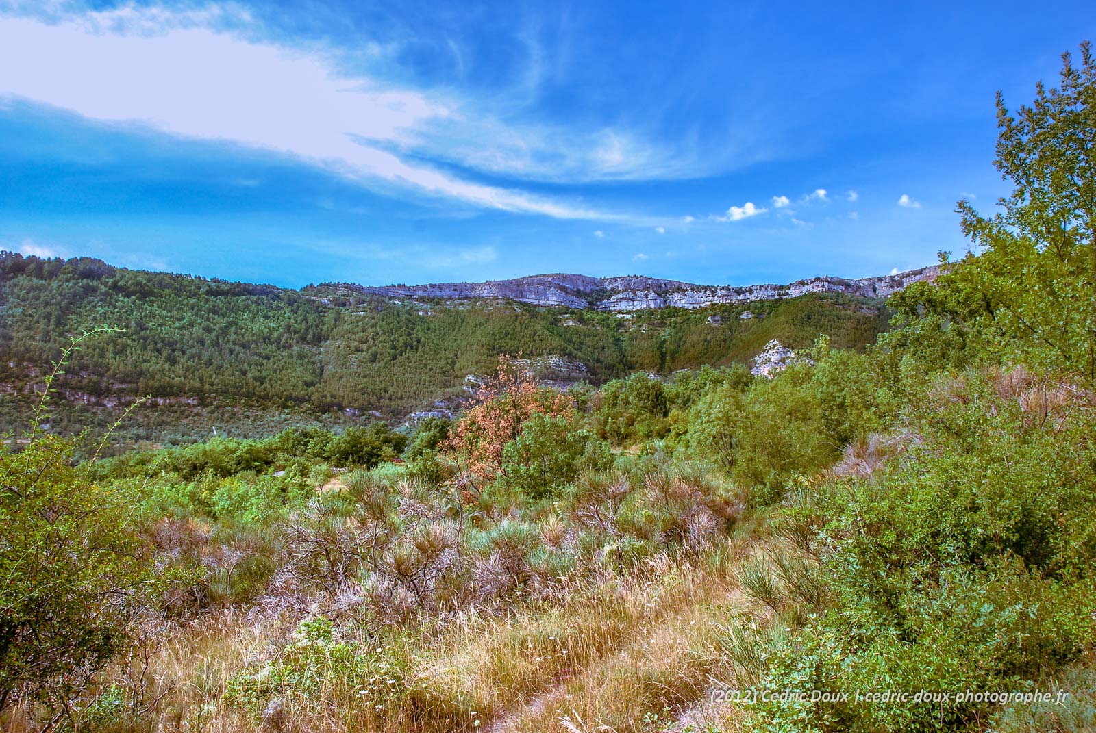 Lodéve, paysages de campagne française