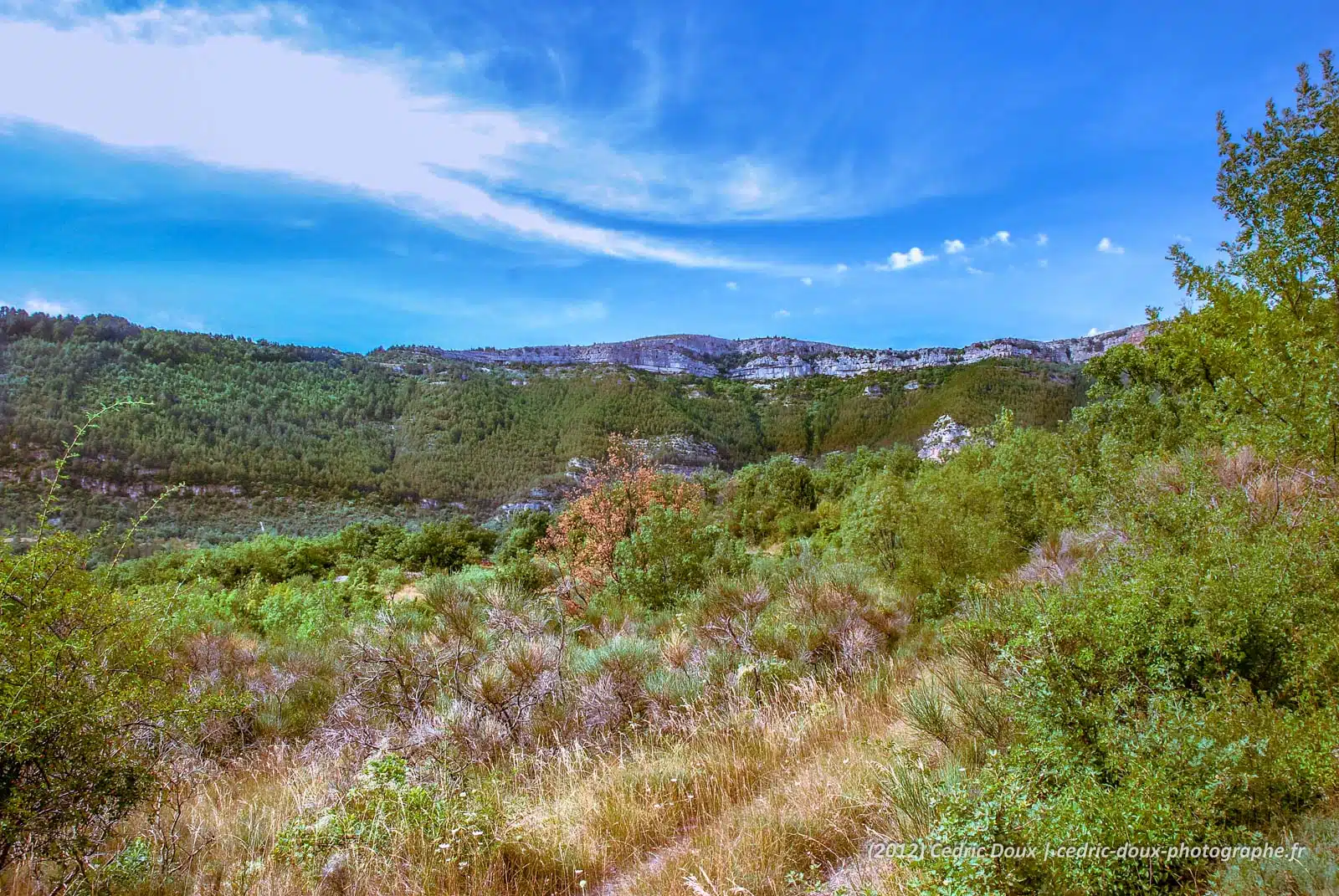 Lodéve, paysages de campagne française