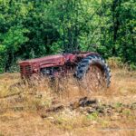 Lodéve, paysages de campagne française