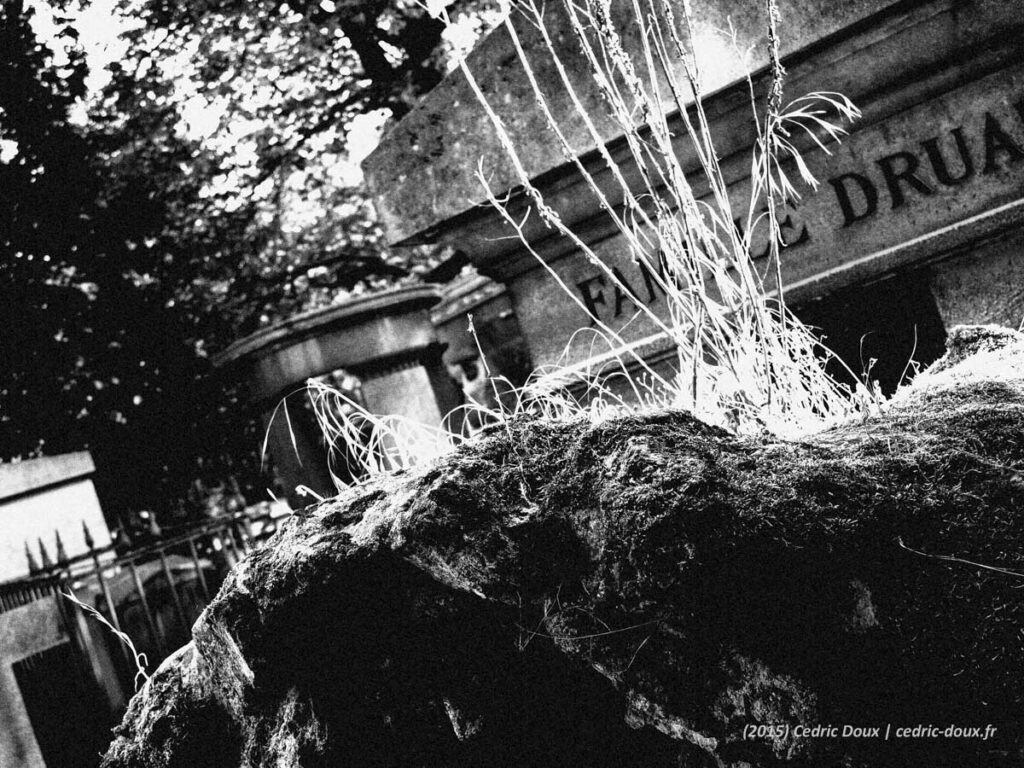 cimetiere pere lachaise noir et blanc DSCN0503