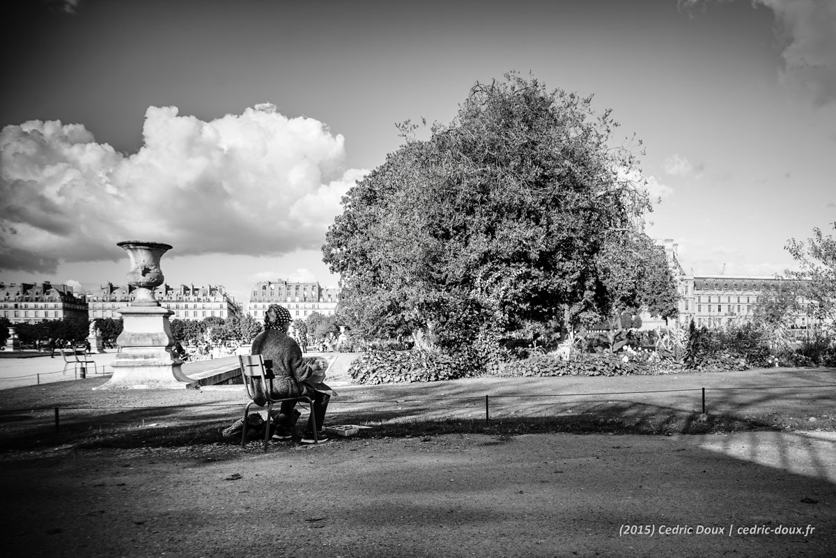 Peindre les Tuileries